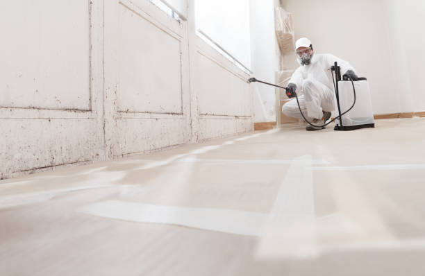 24/7 Emergency Mold Remediation experts in Catlett, VA