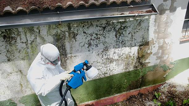 Top rated local Mold Remediation specialists in Catlett, VA